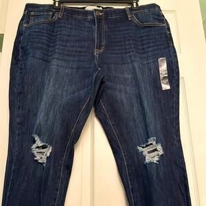 NWT Sonoma Women’s Skinny Jeans 22W
